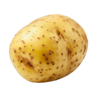 Potato isolated on transparent background png