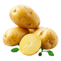 Potatos isolated on transparent background png