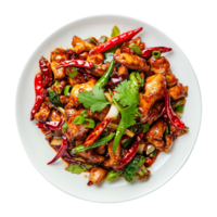 Tasty plate of sichuan isolated on transparent background png