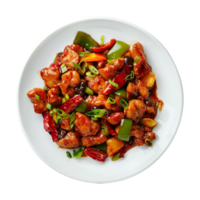 Tasty plate of sichuan isolated on transparent background png