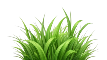 herbe clipart avec transparent Contexte png