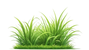 gras clip art met transparant achtergrond png