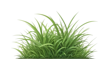 grass clipart with transparent background png