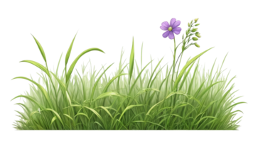 gras clip art met transparant achtergrond png