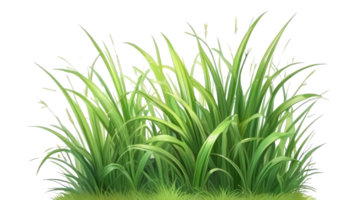 Gras Clip Art mit transparent Hintergrund png