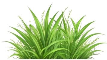 Gras Clip Art mit transparent Hintergrund png