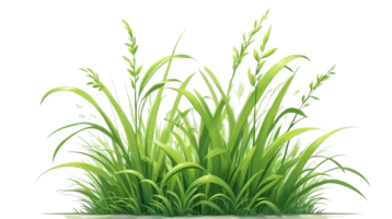 herbe clipart avec transparent Contexte png