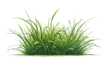 herbe clipart avec transparent Contexte png