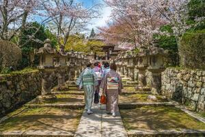 Onjoji temple, or Miidera, with cherry blossom at Mount Hiei in Otsu city in Shiga, Japan photo