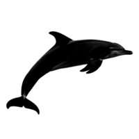 Silhouette of a dolphin png