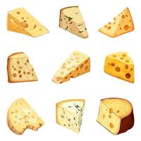 A set of cheeses.Cheddar, mozzarella, maasdam, brie, roquefort, gouda, parmesan. Delicious cheese cut into triangles and slices. Flat illustration on a white background vector