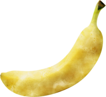 banana fruta aguarela ilustração png