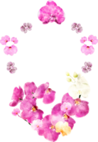 orquídea flores acuarela marco png