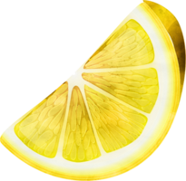 Lemon fruit watercolor illustration png