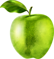 ilustração em aquarela de frutas de maçã png