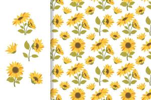 Summer floral pattern with sunflowers on white background. seamless ornament for prints, fabrics vector