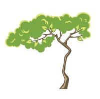 Colored deciduous isolated thin tree illustration vector