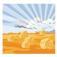 Rural morning landscape with hills and valleys of agricultural fields with a roll of hay, flat illustration vector