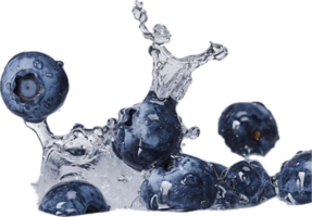 Fresh Blueberries Splashing in Water. png