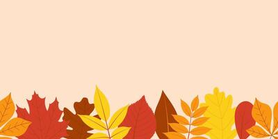 Autumn leaves horizontal seamless border. Banner or background decorated with multicolored leaves. Flat illustration vector