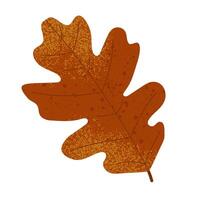 Autumn oak leaf with grain texture isolated on white background. Flat illustration vector