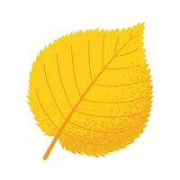 Yellow autumn leaf with grain texture isolated on white. Flat illustration vector