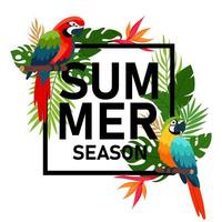 Summer banner with parrots and tropical plants in flat style. Summer season. Advertising banner for trade, store, tourism. vector