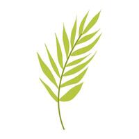 Light green palm branch in flat style. Decorative palm branch. A simple branch of a tropical plant. vector