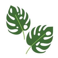 Monstera leaves in flat style. Set of tropical plant leaves. Monstera green leaf tropical collections. vector