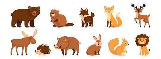 adorable dibujos animados bosque animales recopilación. oso, castor, zorro, ciervo, alce, puerco espín, Jabali, conejo, ardilla, y león ilustraciones para valores imágenes vector