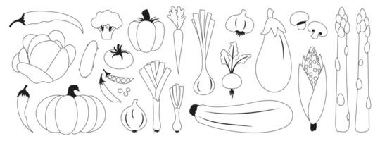 Black line vegetables icons. Fresh vegetables including asparagus, eggplant and corn. Onions, beets and pumpkin. Tomato, cucumber and pepper. vector