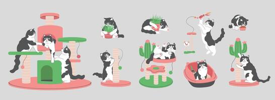 Cartoon Tuxedo cat with Cat Accessories and Supplies Elements Collection,Cat Behavior, Cat playing toy,Cat eating food, cat tree,scratching post,catnip,Cat teaser,cat litter ,cat food vector