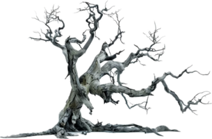 Twisted Dead Tree with Bare Branches. png