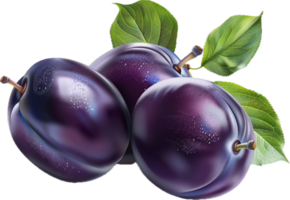 Frais violet prunes avec vert feuilles. png