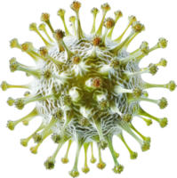 3d ilustración de coronavirus estructura. png
