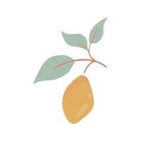 Vibrant Mango Illustration With Leaves on a White Background in Daylight vector