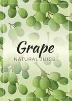 promotional fruit banner. A4 leaflet with a background of a pattern with ripe green grapes. Juice packaging design. vector