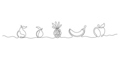 Line fruits on a white background. Continuous line echo pineapple banana, citrus fruit, pear and graphe, trends monoline healtii food. fruits isolated set vector