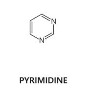 pirimidina nucleico ácido, nitrogenado base fórmula vector