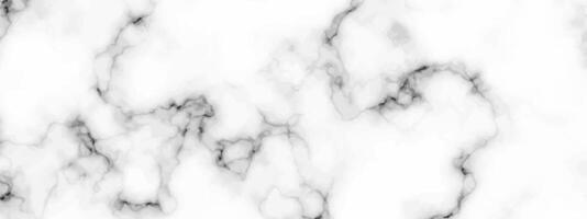 White marble texture background vector