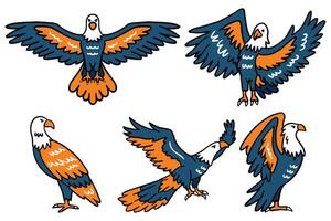 The image is a set of six drawings of birds in flight vector