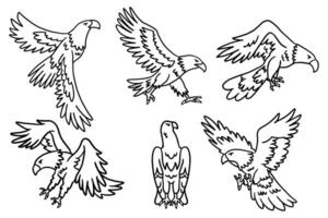 The image is a set of six drawings of birds in flight vector