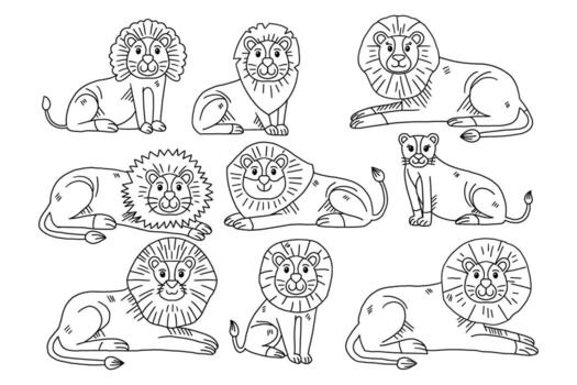 un conjunto de leones son mostrado en varios posa, con algunos sentado y otros en pie vector