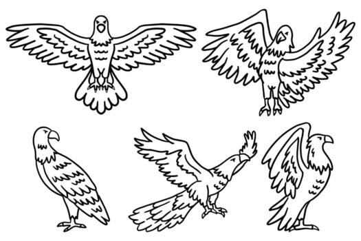 The image is a set of six drawings of birds in flight vector