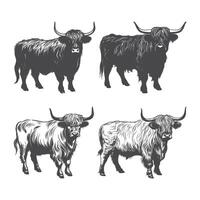 Set of Highland Cow Black Color Illustration vector