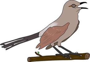 Cartoon of mockingbird vector
