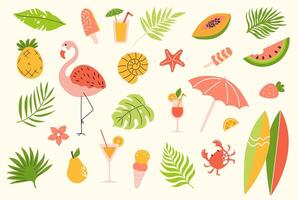 dibujado a mano verano colocar. palma hojas, frutas, flamenco, hielo crema, cócteles, estrella de mar, tabla de surf. vector