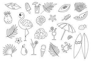 Handdrawn outline summer set. Doodle palm leaves, fruits, flamingo, ice cream, cocktails, starfish, surfboard. vector