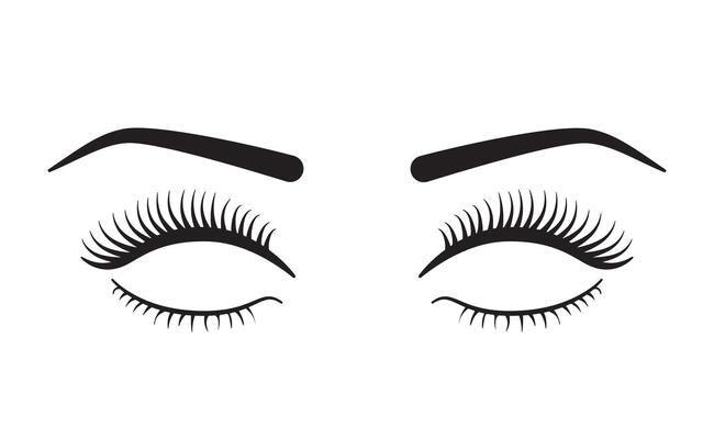 Eyelashes with Eyebrows for Make up isolated on white background