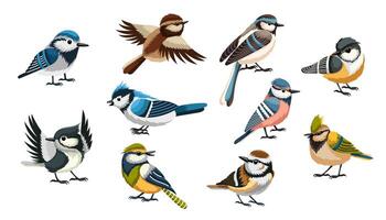 Collection of cartoon bird vector